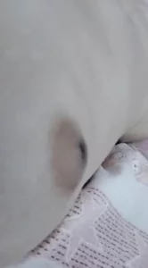 也可以帮你拍别人厕所视频。有偿